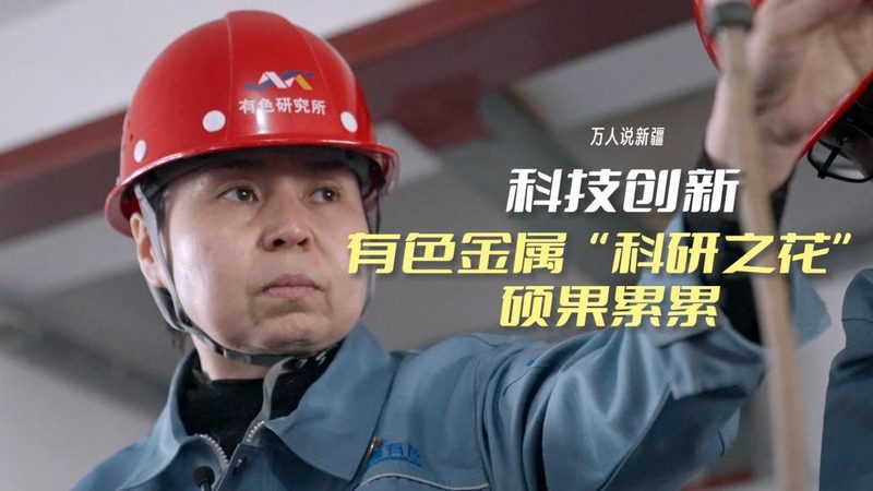 数据湖批量处理与流处理：两种处理方式的本质区别与应用场景